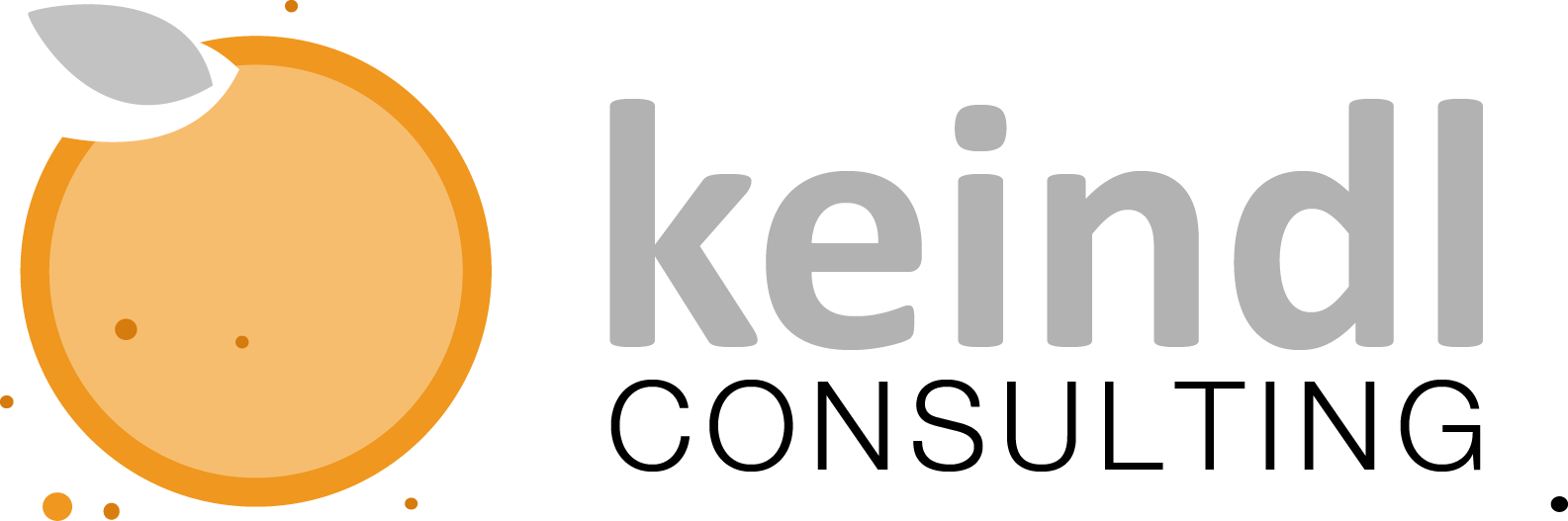 Wissensmanagemet-Partner